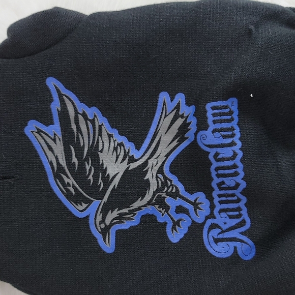 Harry Potter Wizarding World Ravenclaw Pet Hoodie - Picture 3 of 9